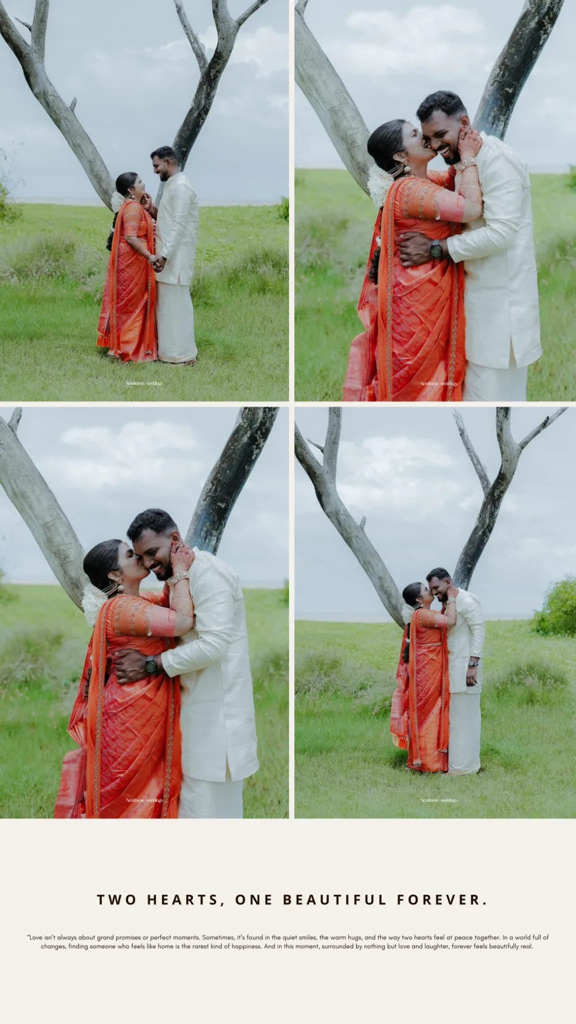 Sarath N — verified creator gallery photo 1